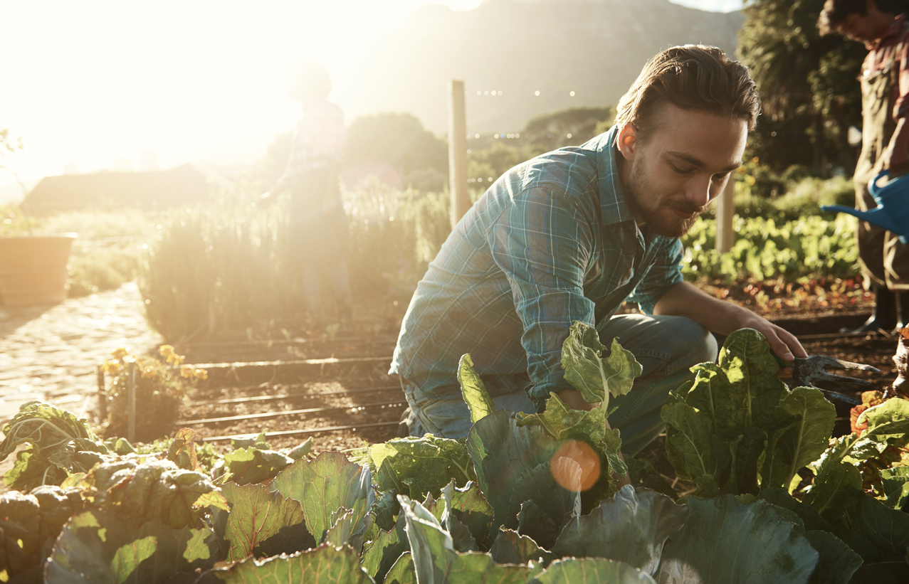 man gardening