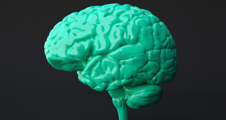 Green brain on gray background