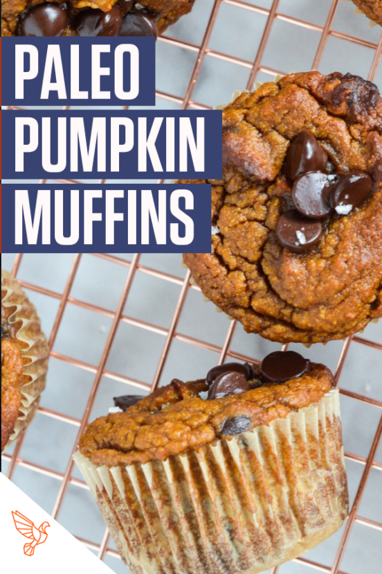 Paleo Pumpkin Muffins With Collagen Protein | Gluten-Free, Dairy-Free