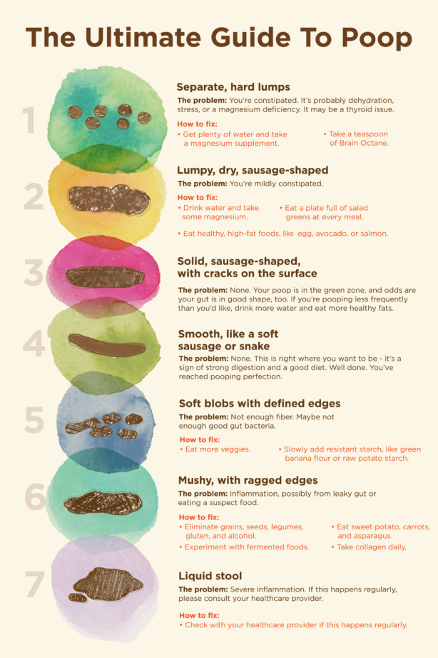 Yellow Poop Color Chart Types Of Poop What Doctors Need You To Know 