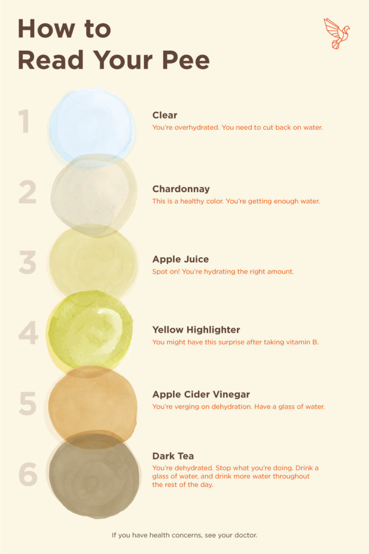 This Urine Color Chart Explains How To Read Your Pee Bulletproof