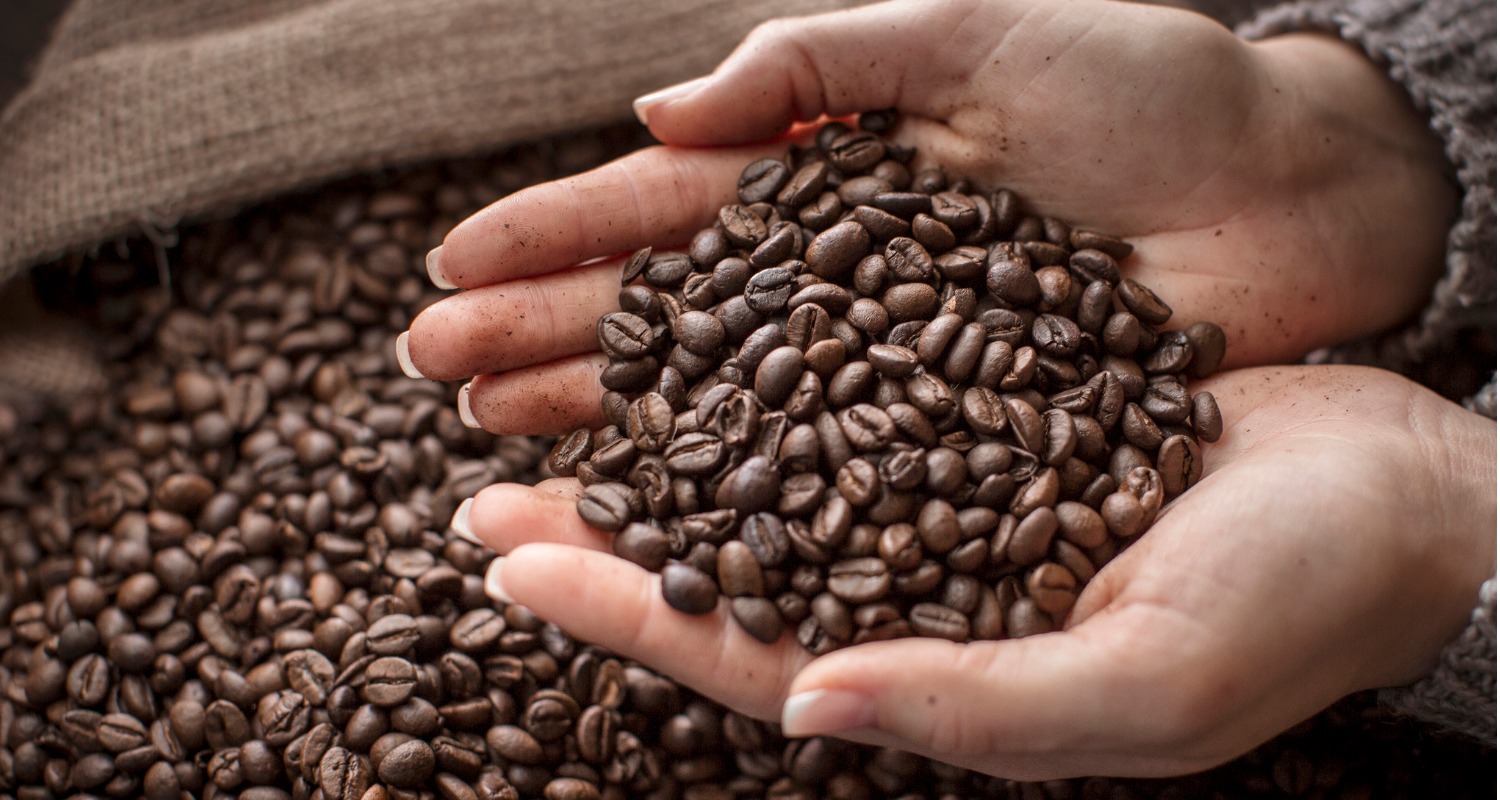 14 Interesting Facts About Coffee