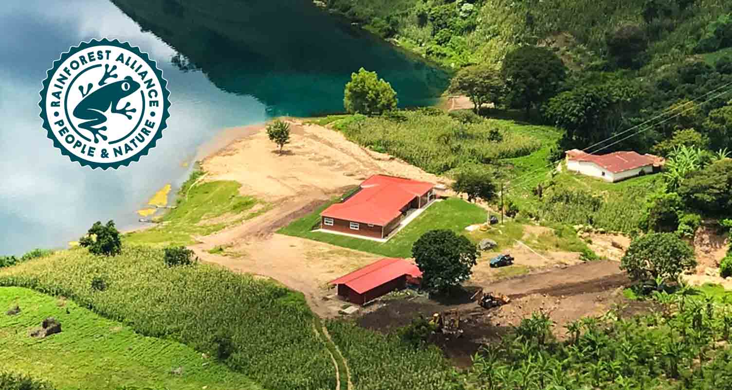 Photo of a coffee farm beside a lake with the Rainforest Alliance People and Nature icon.