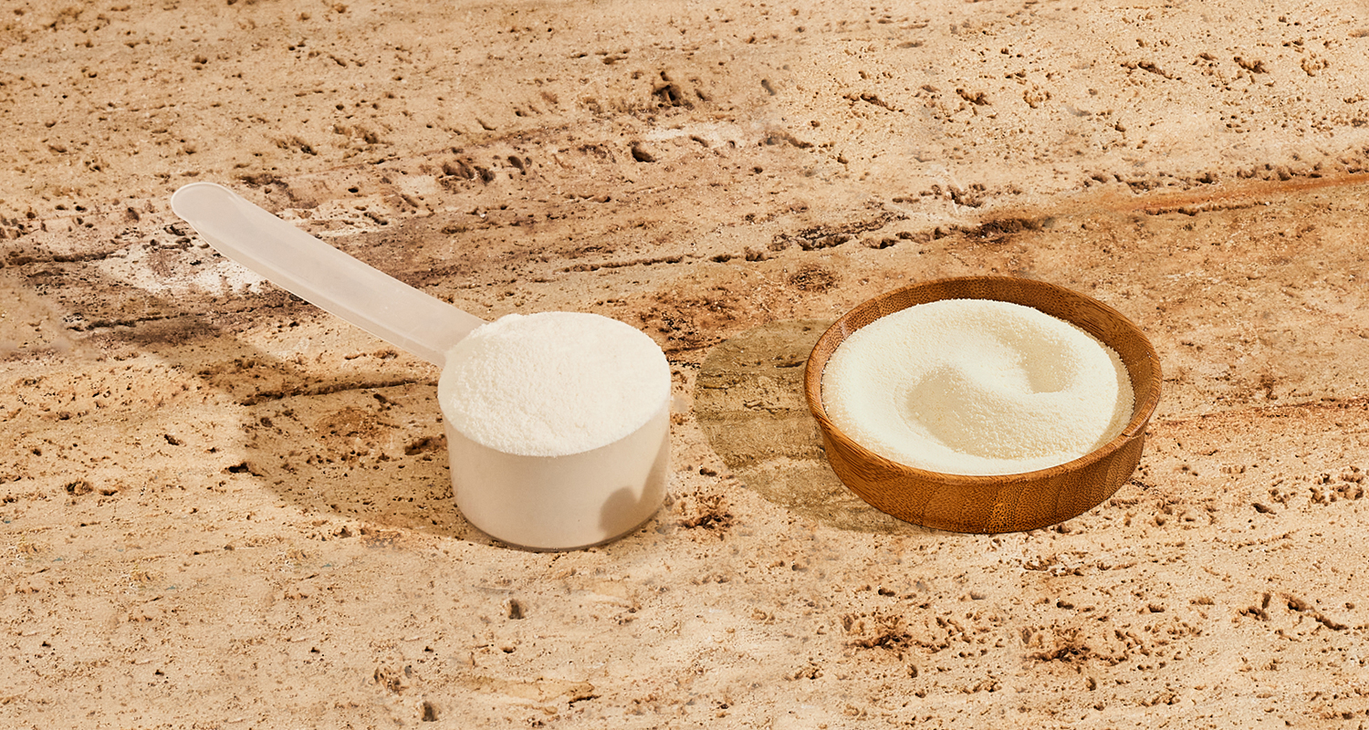 A scoop and small bowl of collagen powder on a counter